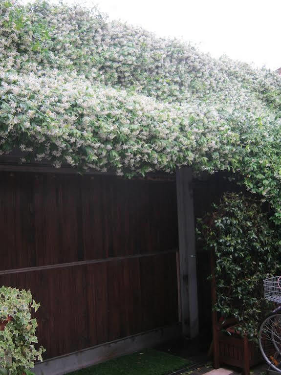 Casa Di Carlo Goldoni - Dimora Storica Bed & Breakfast Chioggia Ngoại thất bức ảnh